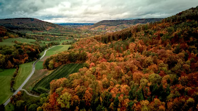 Herbst im Untersteinbacher Tal